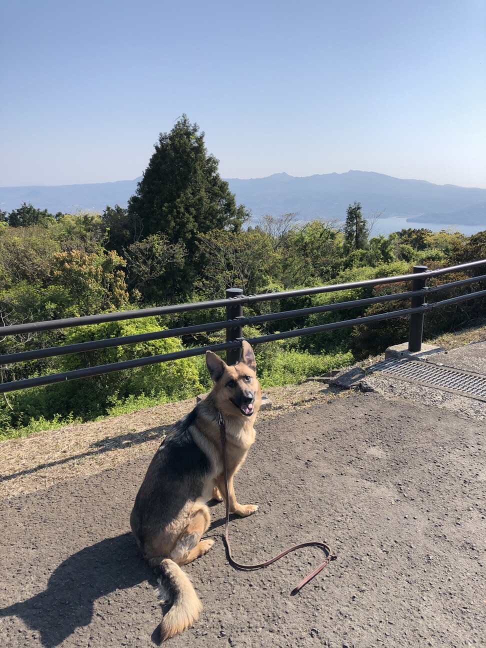 アルマ