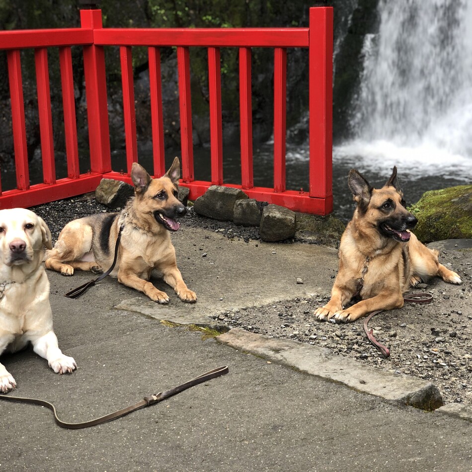 アルマのカバー写真