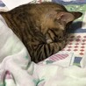 大ひろ さん