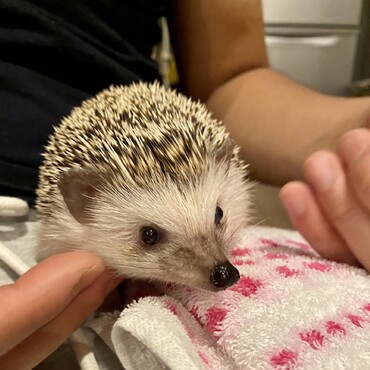 パパに抱っこされて