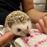 パパに抱っこされて