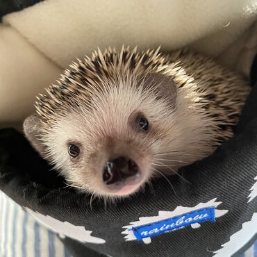 可愛すぎる！！！