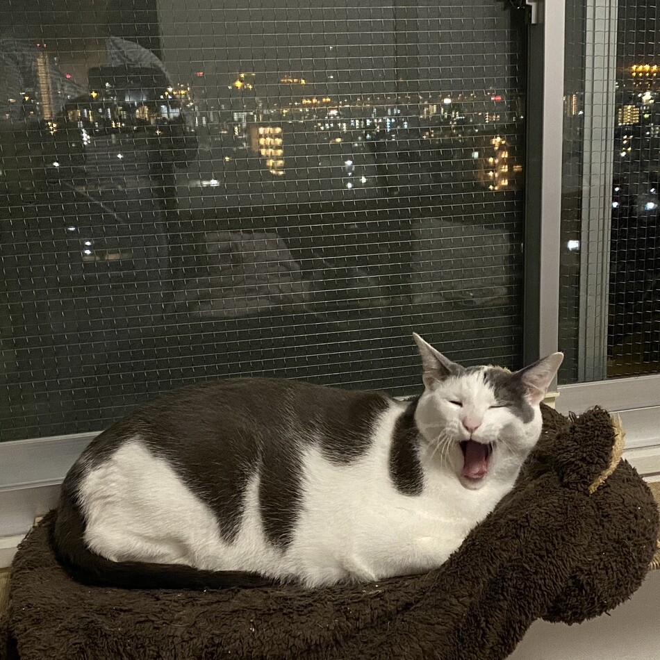 はるのカバー写真