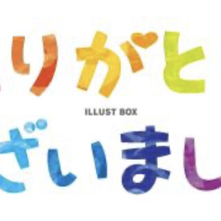 ロングチワワ　生後8ヶ月