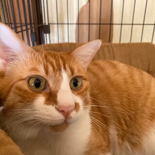 さとし君　優しいお兄ちゃんです！