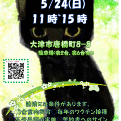 石山タツケン譲渡会