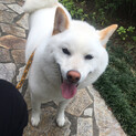 いつまでもおじいちゃんと一緒にいたいけど