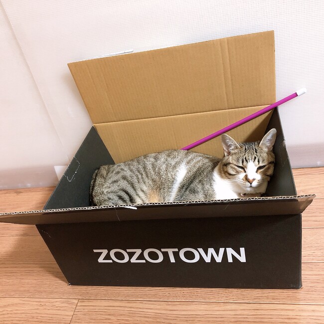 キララとあしあとのカバー写真