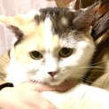 真丸お顔の甘えたさん♪♪
