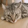  さん