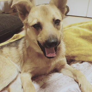 愛嬌一杯、おっとり甘えん坊の鼻黒男子ココア