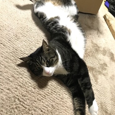 のびのび〜