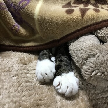 だーれだ！