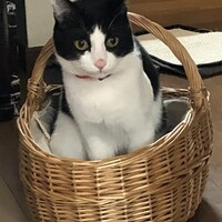 みー
