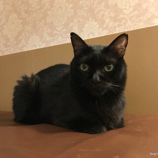 少し人との距離が近くなってきた『あんこ』