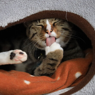 ミンの写真