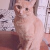 ひめ0210