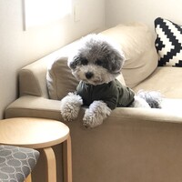 えむ