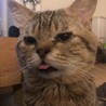 ぱっぷきんぐ