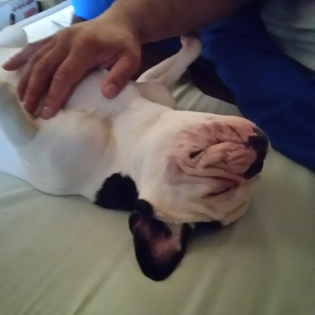 Yasu0609のカバー写真