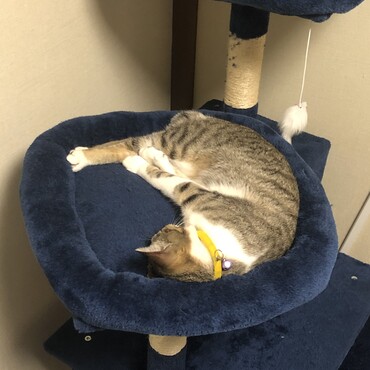 テスト投稿