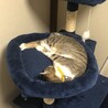 テスト投稿