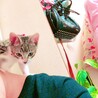 まだ小さい時
