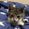 来たばかりの時