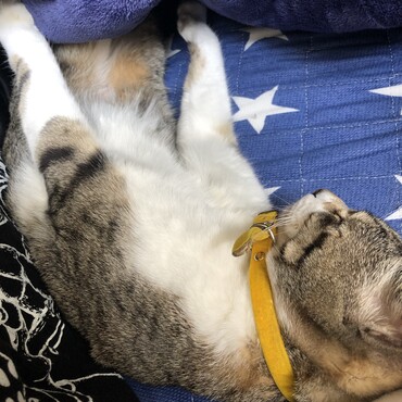変な寝方してる時