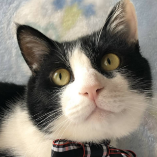 まったり、ゆったり、心も身体も大物です