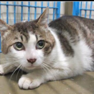 家族ができました！！有難うございました！