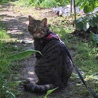 くう