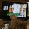 膝の上