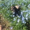 浜名湖ガーデンパークにて