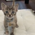 わかめちゃんずっとのお家見つかりました♡
