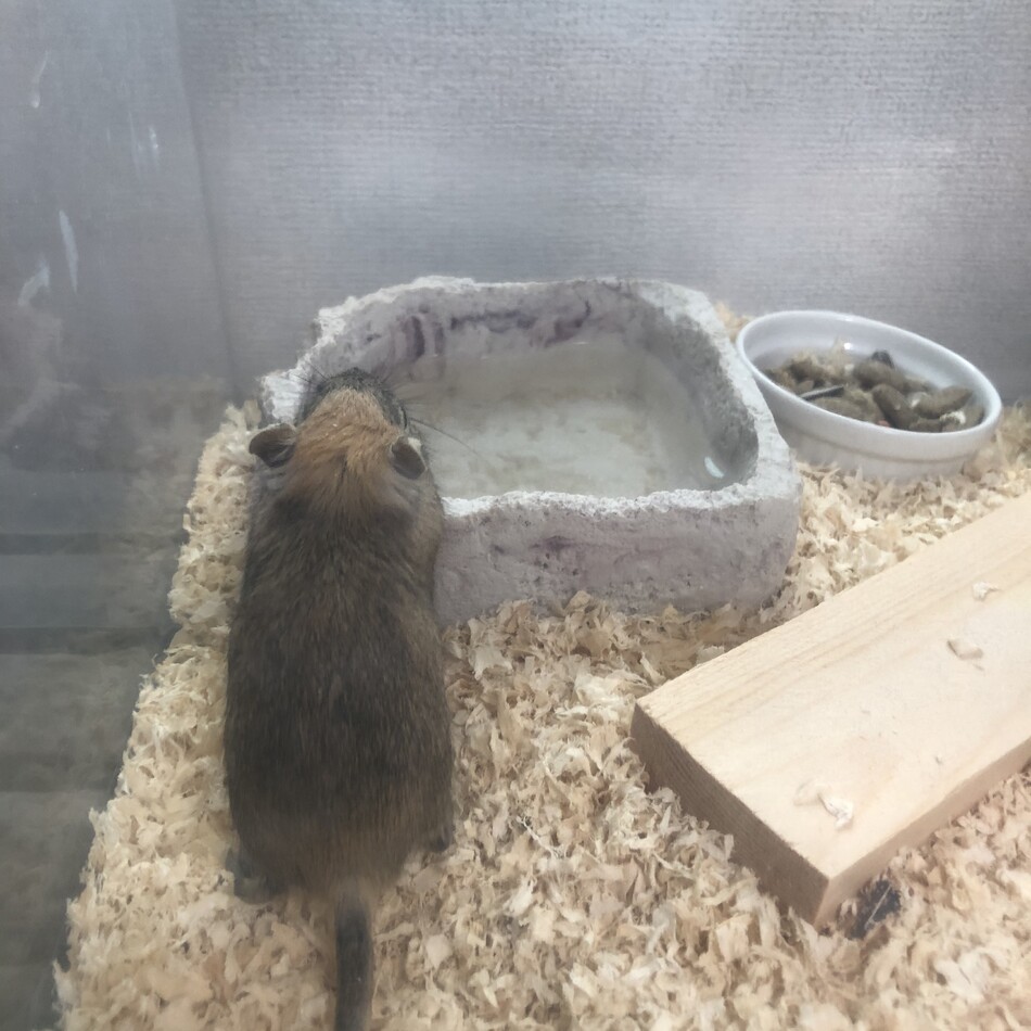 桂のカバー写真