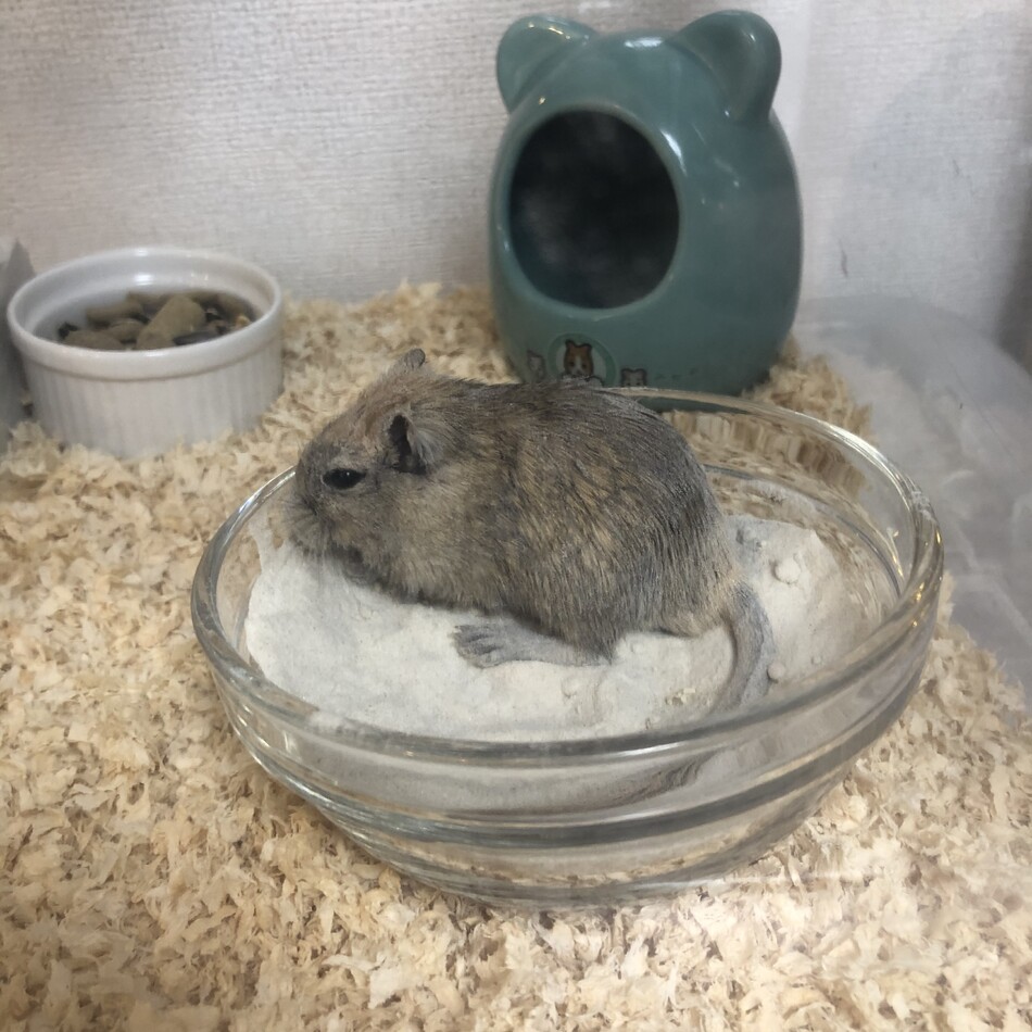 丸ノ信のカバー写真