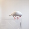 ぬまべ