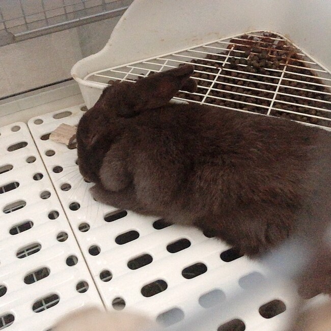 あすぱらまのカバー写真