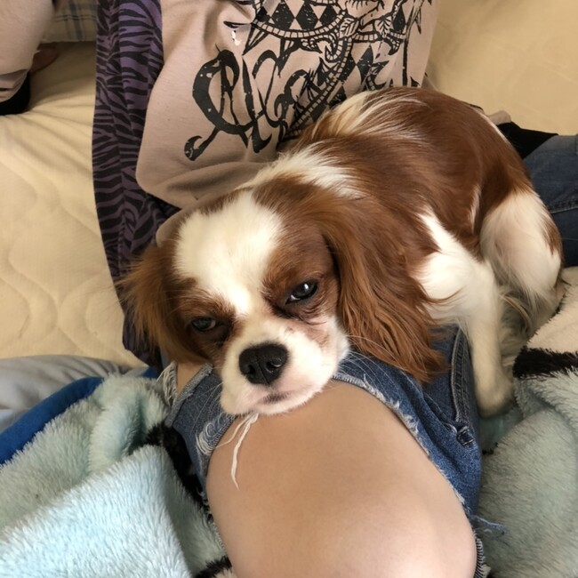 こうたnのカバー写真