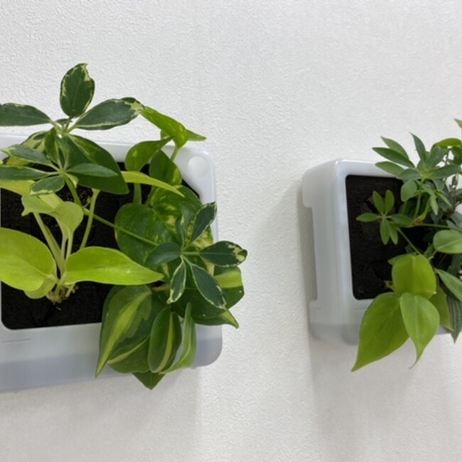 すぽいるのカバー写真