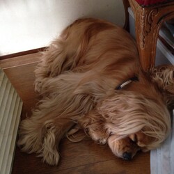 いびきをかいて寝ていました。