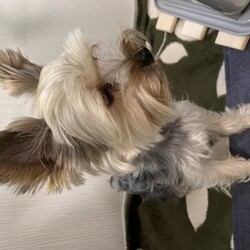 そんなに怖いの…？