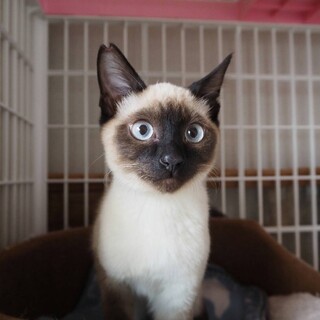 抱っこ大好き！　甘えたのちっちくん♪