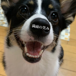 この笑顔...100点満点！