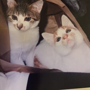 くー＆とー