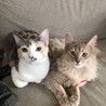 なごみ＆りり