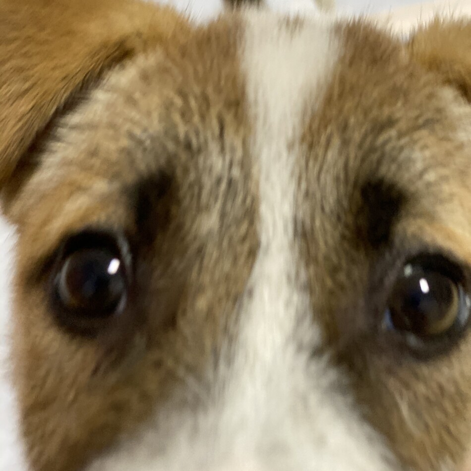 なっつのカバー写真