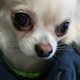 家族がみつかりました☺️