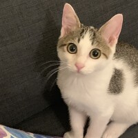 ノゾミ